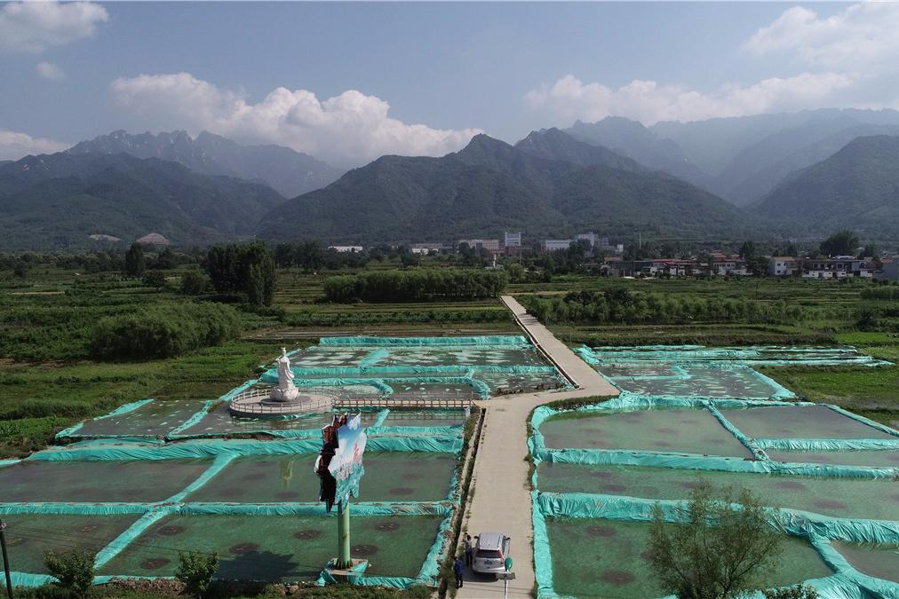 双效副作用小的药物