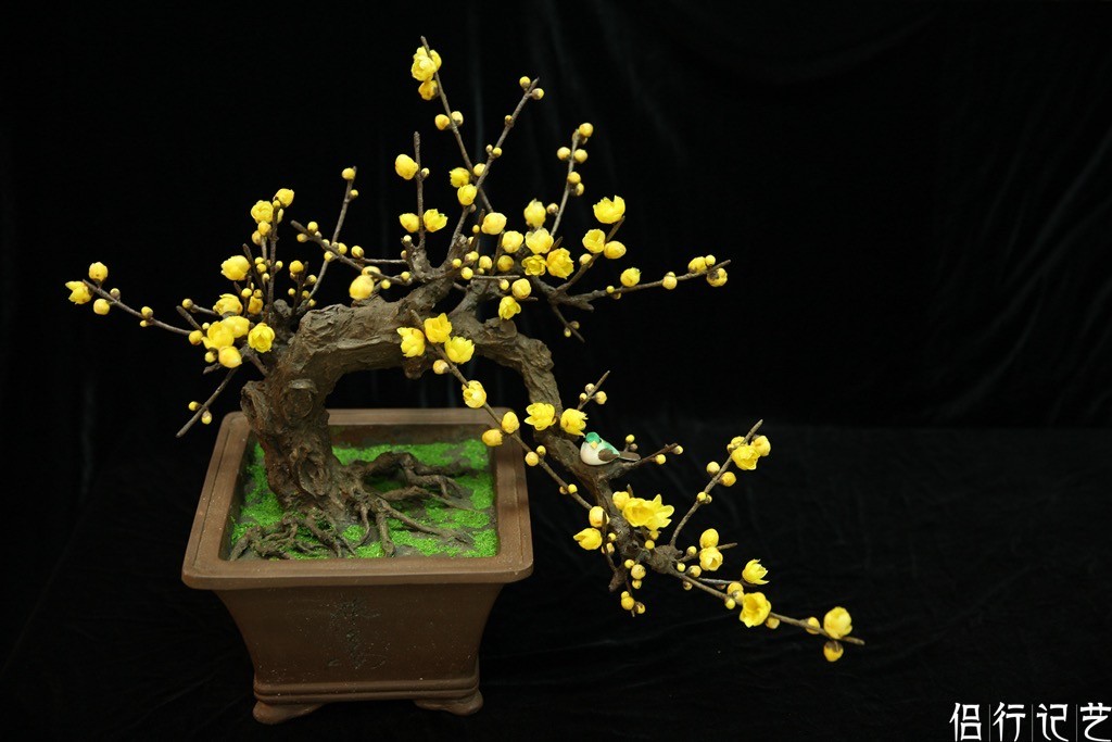 扬州78岁老人有绝技用通草做假花成国礼全国只有2人会