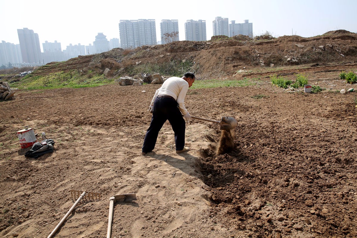 西安城里千亩未开发的土地 老人们开荒种菜乐淘淘