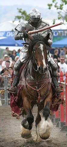 骑士|中世纪|战马_新浪网