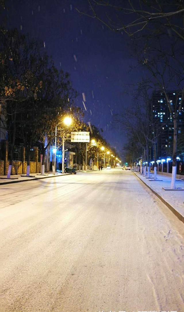 临沂,1月27日夜,大雪纷飞,夜景醉人