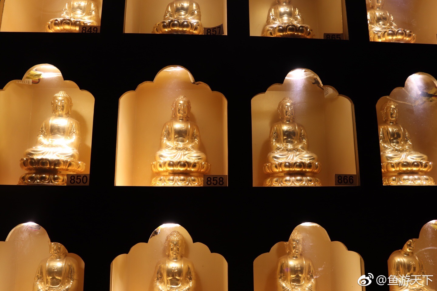 全国网媒看平凉大型采访活动泾川大云寺以舍利而闻名遐迩