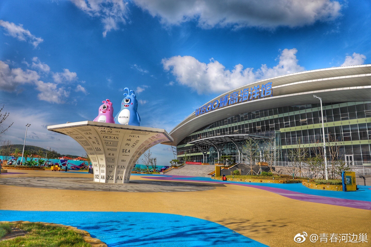 到了威海,除了去海边,还有如此绚丽的海底世界|海底世界|威海|海洋