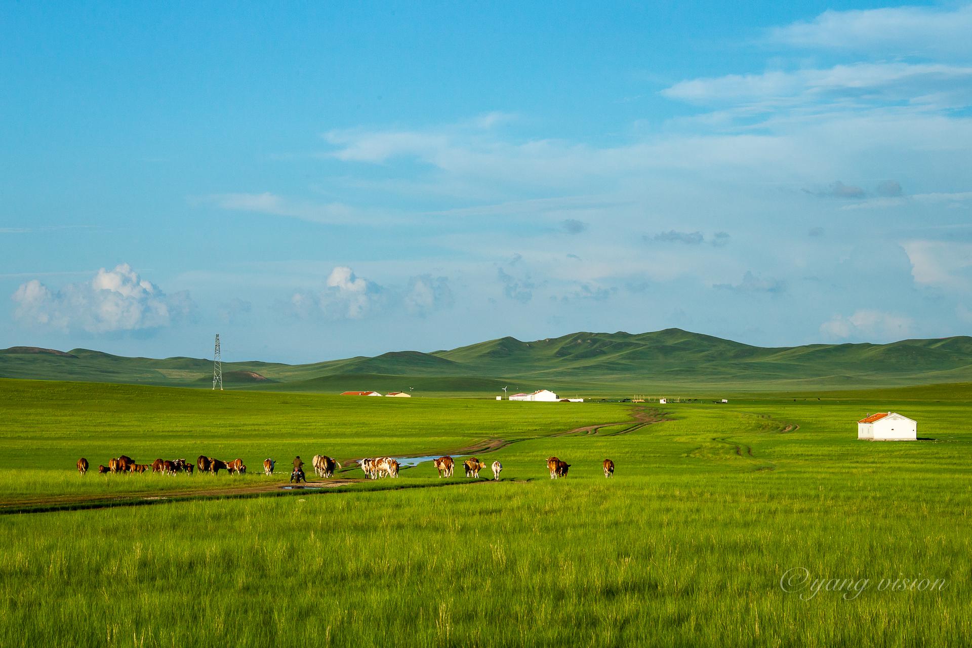 从锡林郭勒一路向东,就是天边草原乌拉盖,沿途的风景很美很美… 67