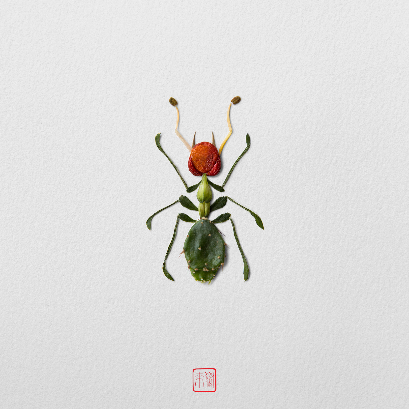 艺术家 raku inoue 用树枝,种子和花瓣创作了昆虫形状的图案