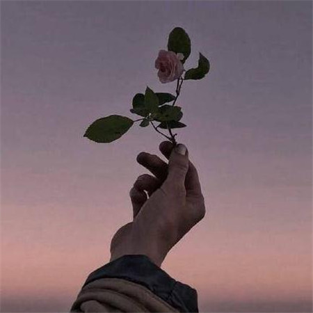 2018出去玩的心情发朋友圈说说,一句话形容出