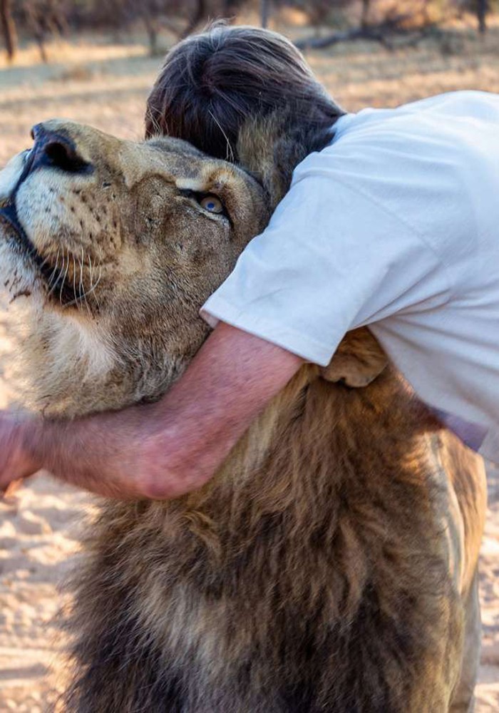 他是唯一个牵着狮子尾巴的男人,他们11年前相遇感动至今!