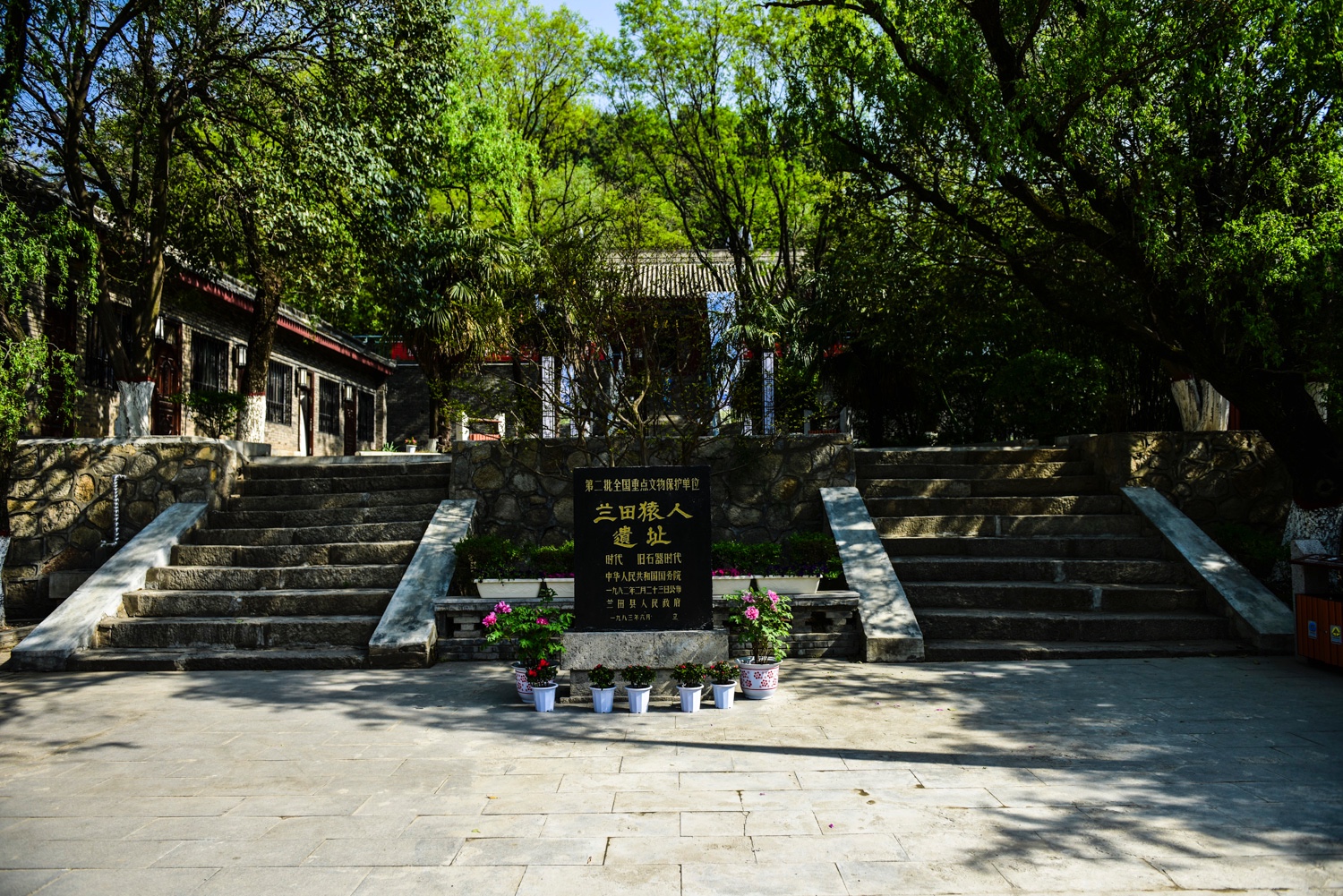 蓝田猿人遗址曾轰动全国 现免票也无人参观