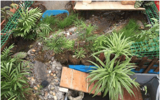 牛人给乌龟搭五平米别墅, 假山池塘应有尽有, 我家龟看后忧郁了
