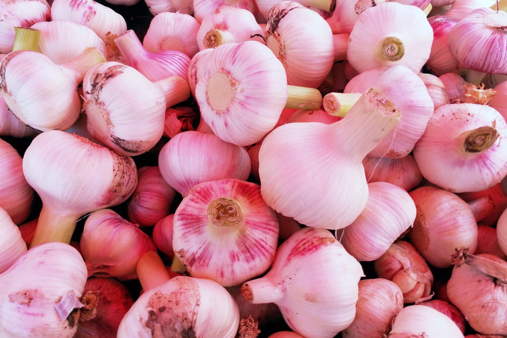 新蒜最低不到一块钱一斤 大集上市民围坐挑蒜 摊贩扒蒜皮增加利润