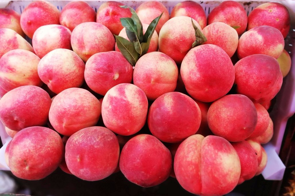 这个桃子大约有4两左右,鲜红艳丽,采摘时间不长,价格在7块钱一斤,这只