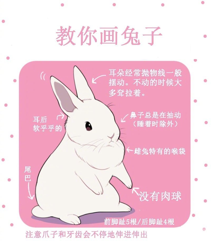 手把手教你绘制画一只敲可爱的小兔叽!画师:井口病院|病院|小兔|井口_新浪新闻