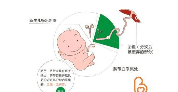 保存孩子脐带血, 拥有"第二次"生命?