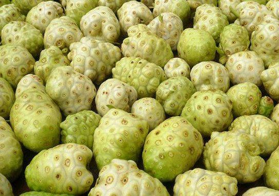 最少见的五种水果,最后一种水果没熟千万不要吃,有毒的