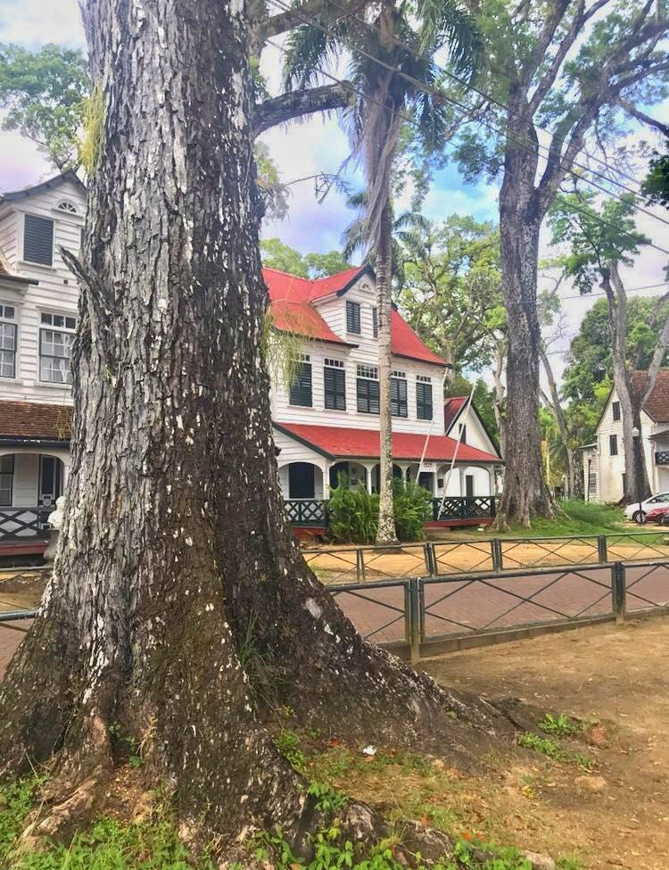 南美最小的国家苏里南首都帕拉马里博旧内城是世界文化遗产