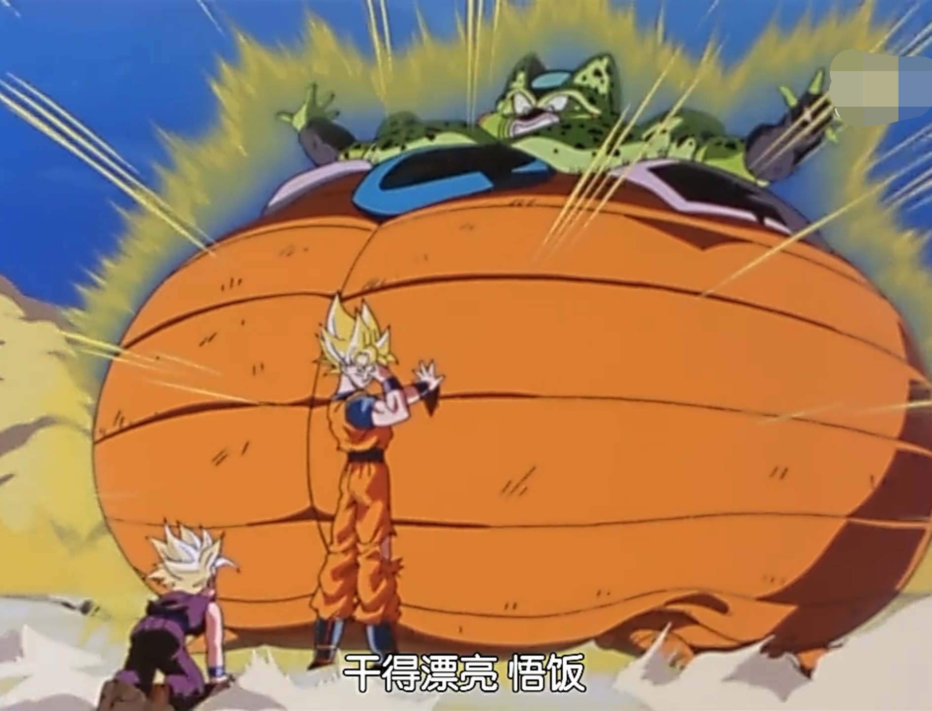 贝吉塔|沙鲁|形态_新浪新闻