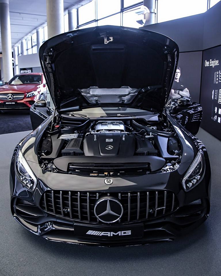 mercedes-amg gtc_新浪看点