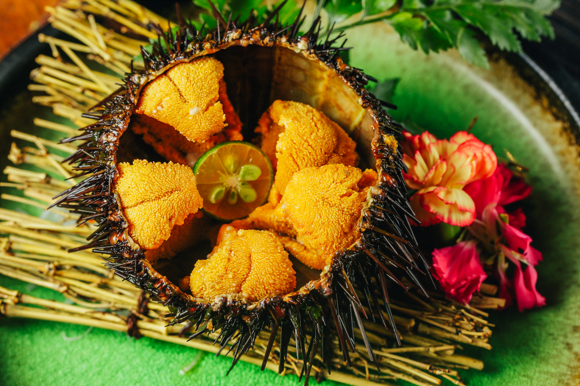 从不过时的「萤初炉端烧」,又给9月的津城奉上了一桌海胆全宴