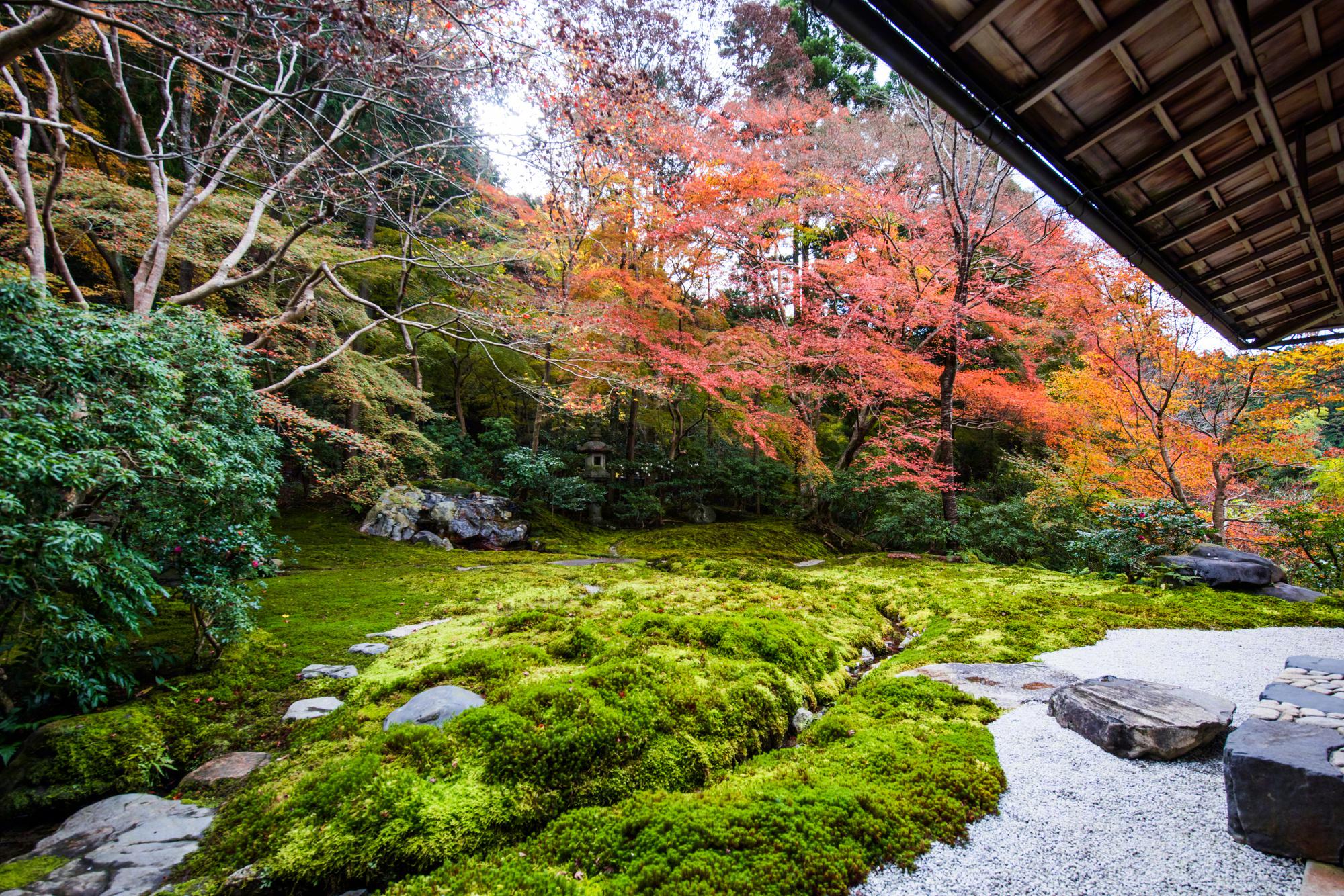 京都的琉璃光院只因美到窒息的景每年不得不外对开放两次