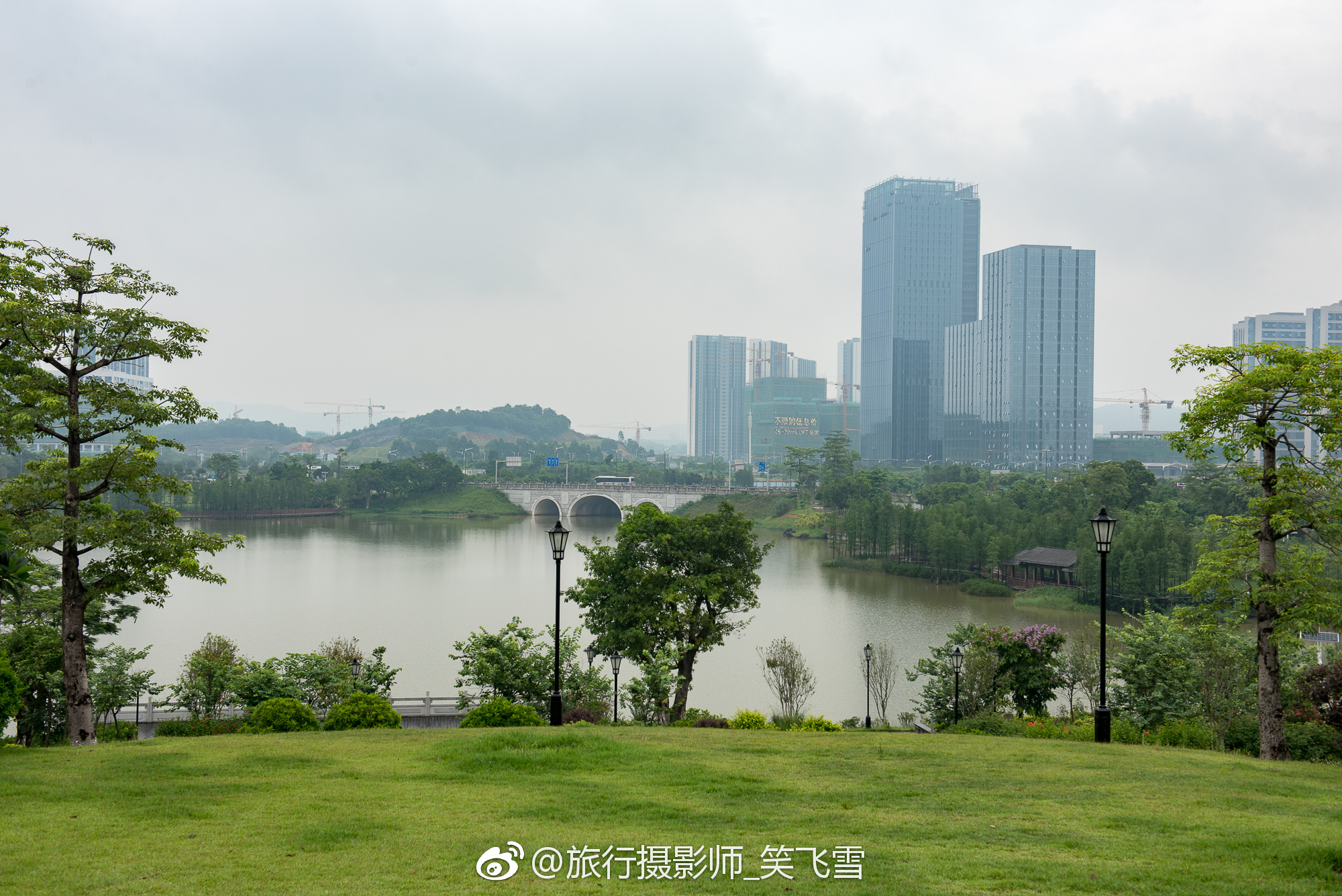 中新知识城的凤凰湖是市级湿地公园