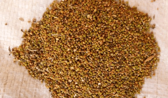 可以用菟丝子(酒浸),杜仲(去皮,炒断丝),磨成粉末,以山药糊丸如梧子大