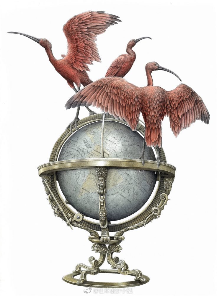 艺术家steeven salvat复杂的动物插图.