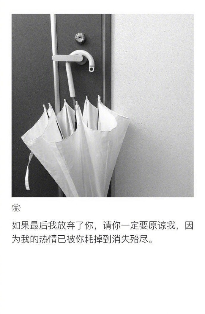 你不必冷淡我没想纠缠我们之间一删网络便是永别