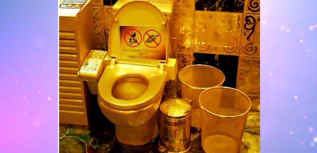 土豪金马桶你坐过吗,各种奇怪的厕所和小便池!