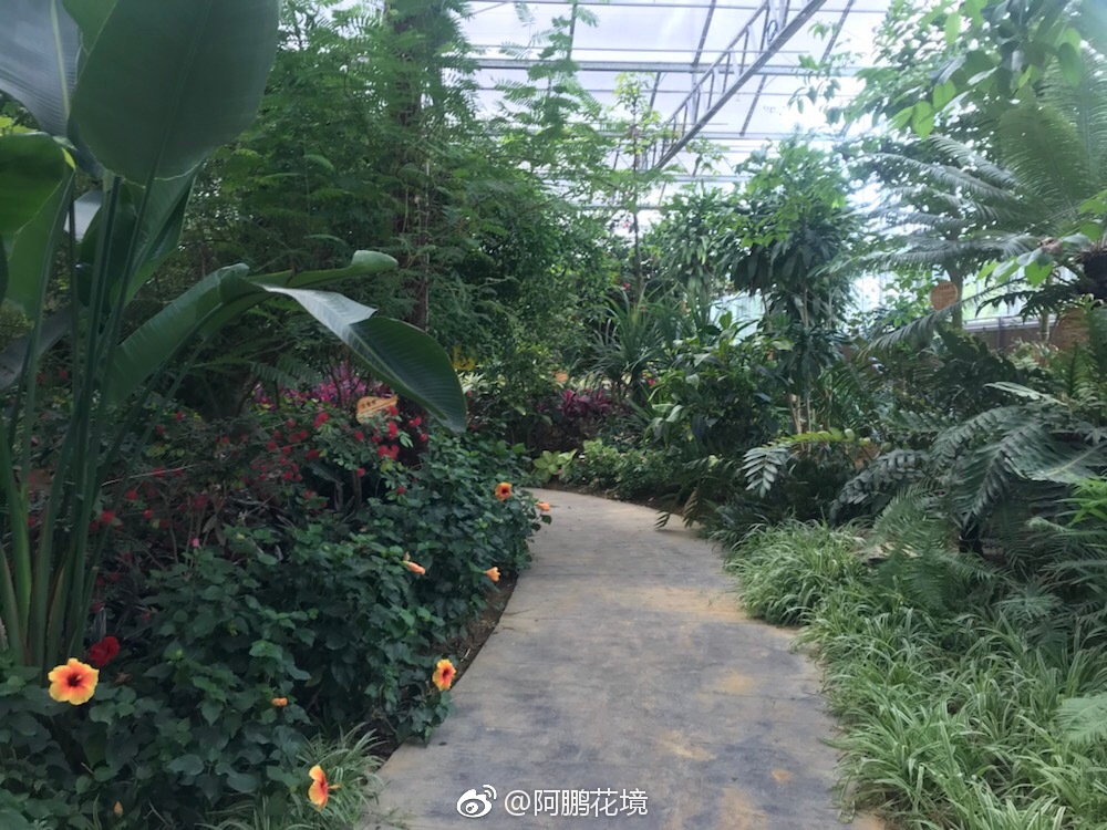 温室热带植物馆是几乎所有以植物为特色的园子必做馆之一 温室热带植物馆是几乎所有以植物为特色的园子必做馆之一