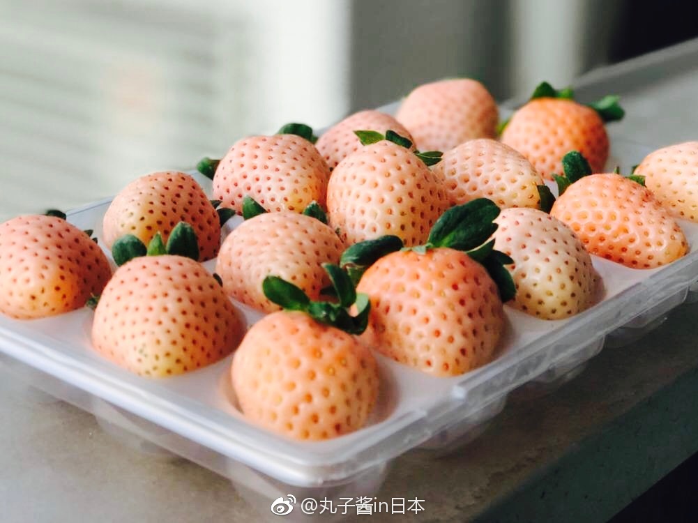 淡雪白草莓这是日本奈良县果农经过长达20多年的研发成果