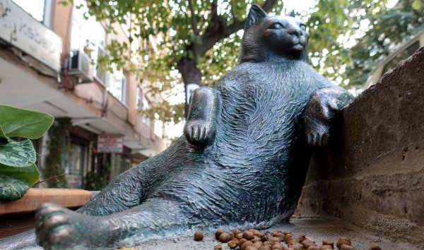 一只拥有自己雕像的猫 深受全城仁追捧|土耳其|猫|雕像_新浪网