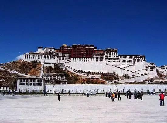 布达拉宫|卧龙自然保护区|美国人_新浪新闻