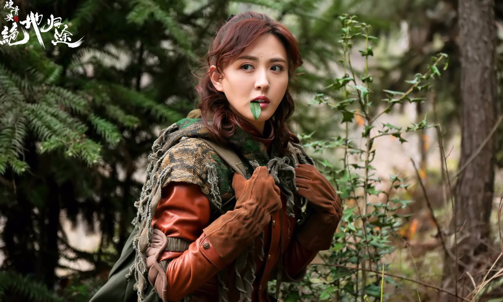 《硬骨头之绝地归途》开播 "战地玫瑰"徐小飒霸气来袭