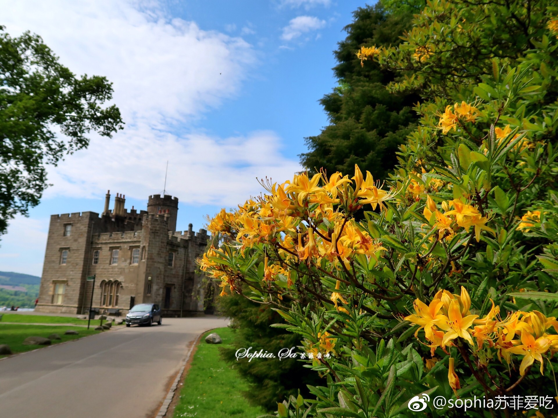 苏格兰的罗梦湖lochlomond