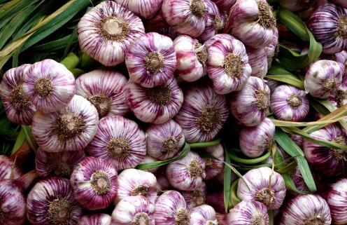 2018大蒜保守价格多少?预测行情会上涨还是下