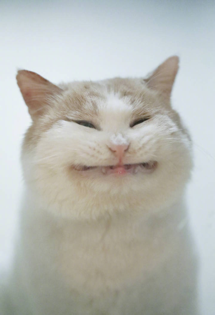 唱到我心坎里!你瞅啥?强颜欢笑!继续啊,你不是挺能说的?