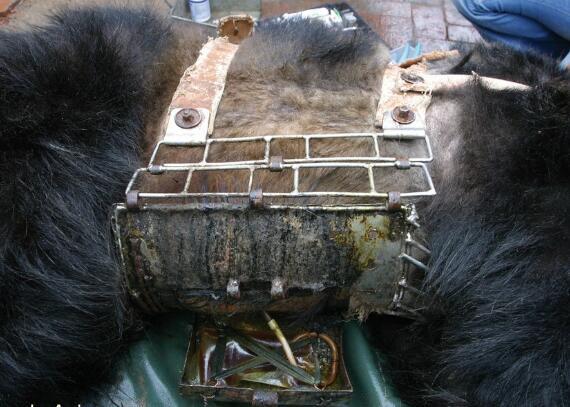 可怜黑熊被铁圈死死捆住取胆汁,看完惨状让人流泪!