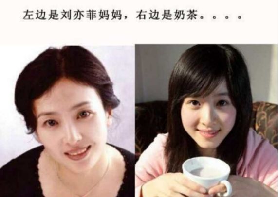 女星和妈妈同框张钧甯像姐妹宋佳复制版刘亦菲妈妈比她还美