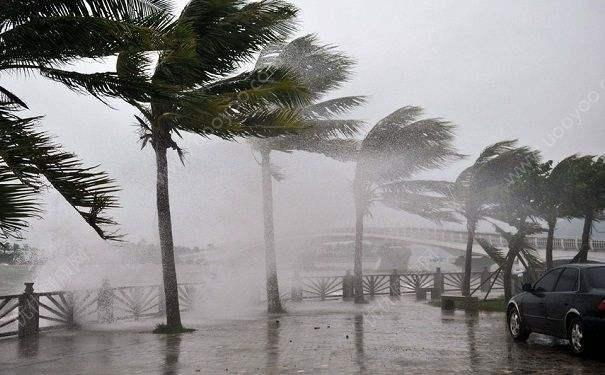 为什么每个台风的名字都不一样到底是怎么取的看完长知识了