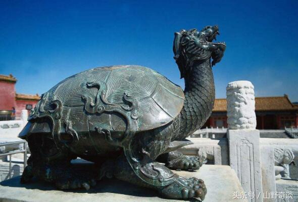 古代神话中的4大神龟有的被用来当柱子有的帮大禹治水
