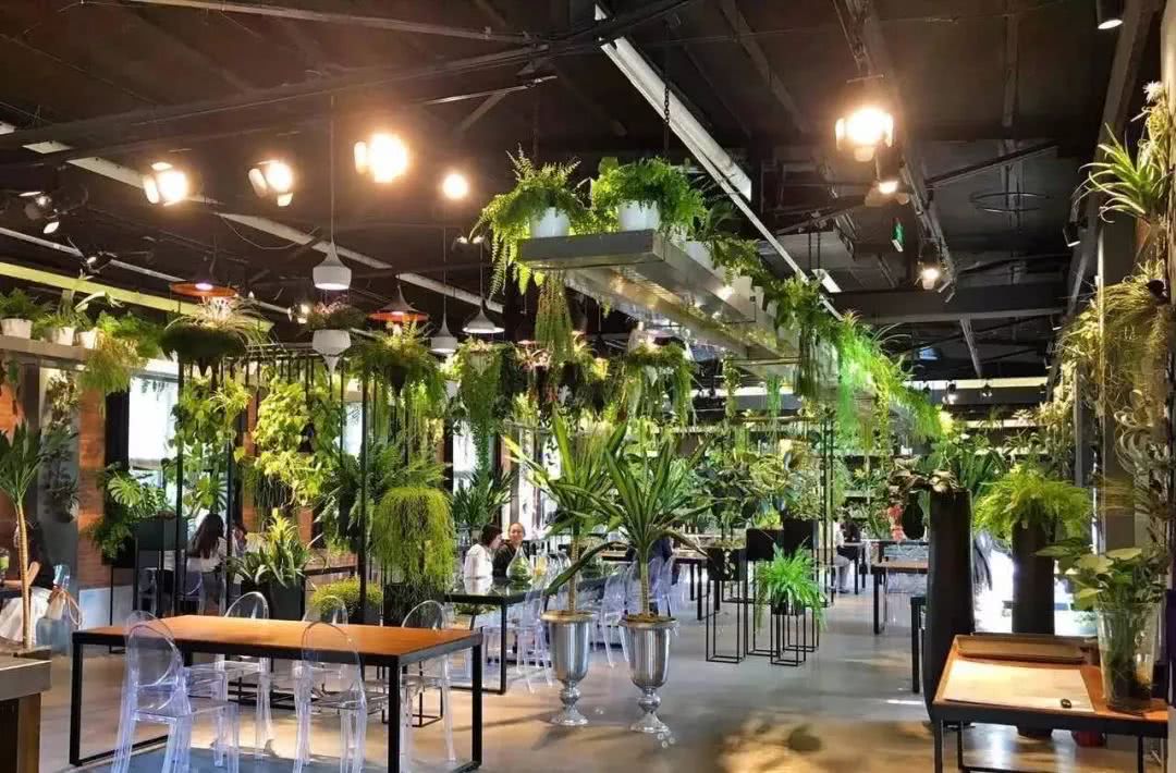 餐厅变雨林植物园,吃完不想走了!