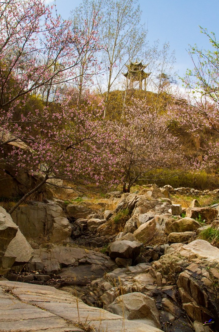 国内第二座香山,春天颜值爆棚,如诗如画是真的世外桃源