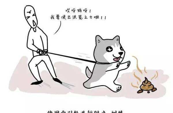 狗改不了吃屎的16个理由