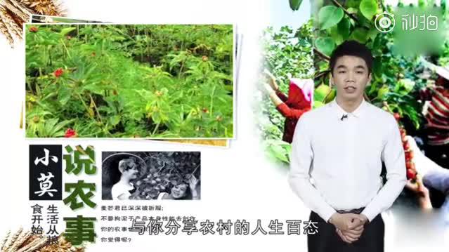 物以稀为贵  丰田SUV锋兰达有多便宜