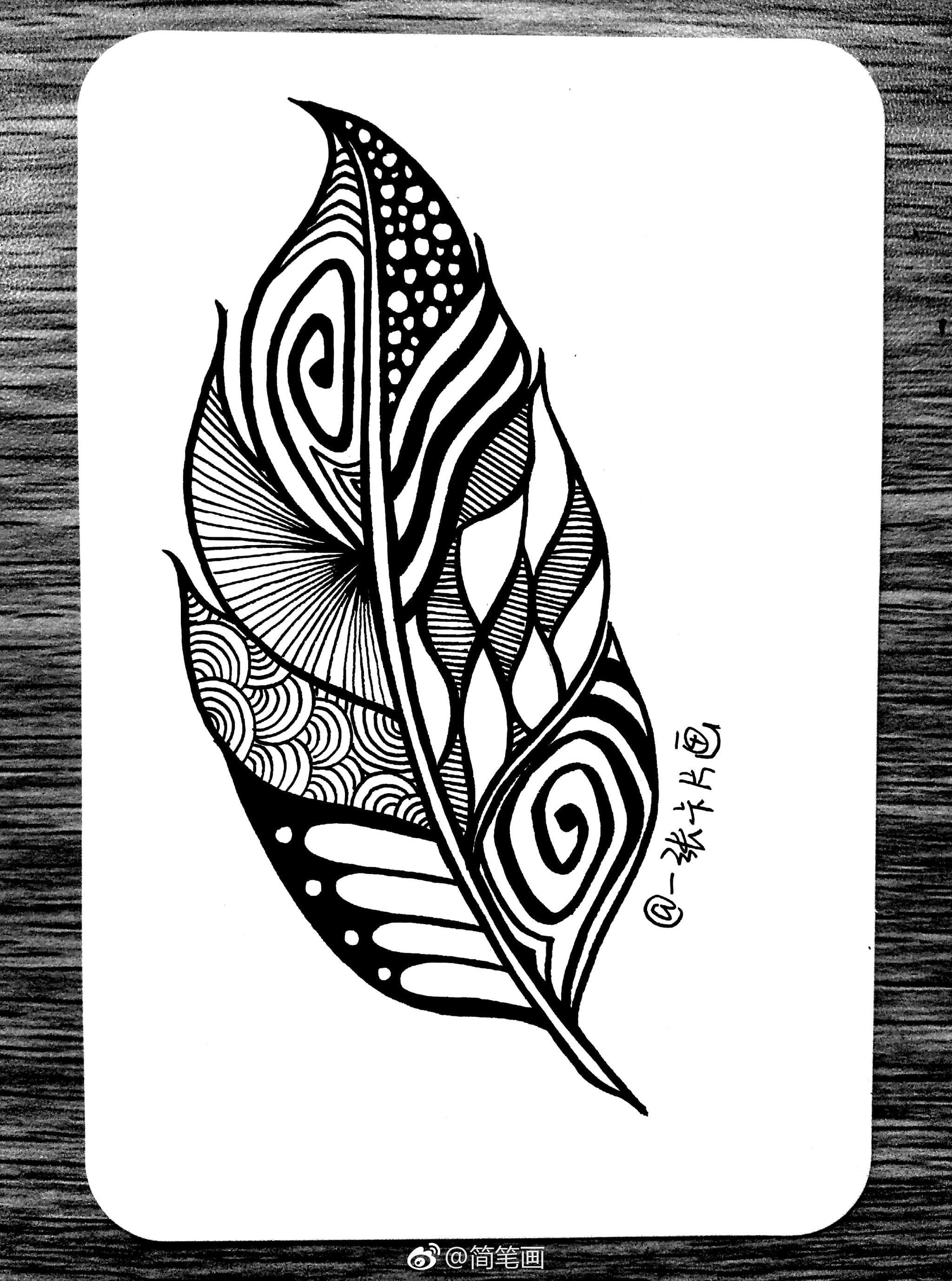 一组羽毛禅绕画投稿一张卡片画