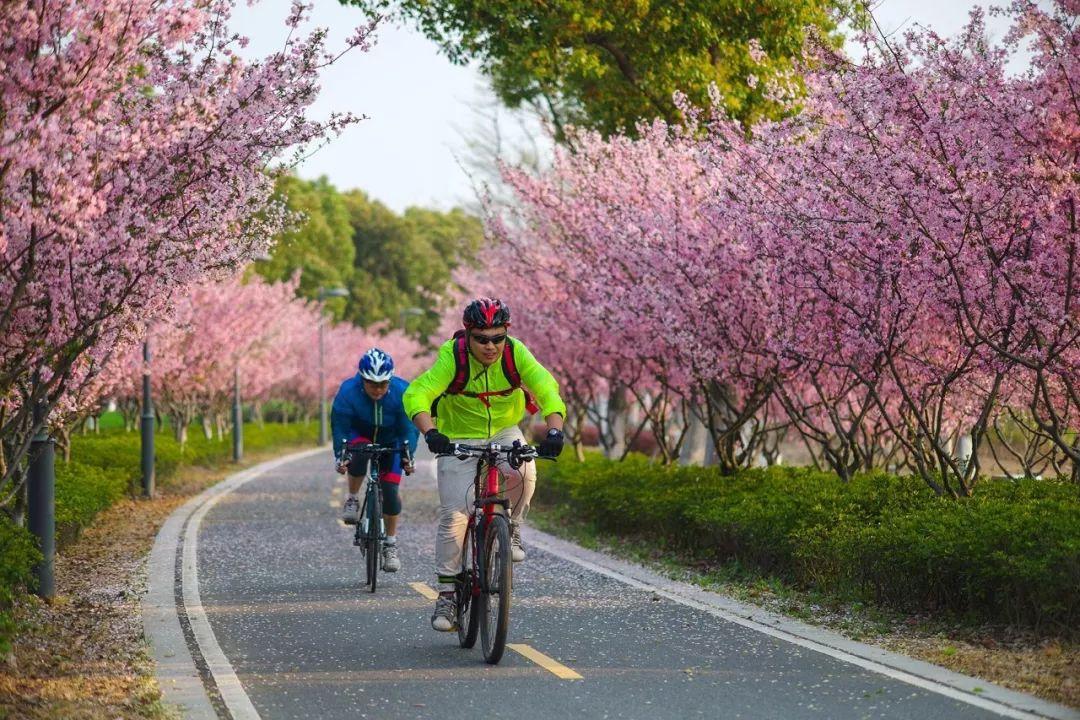 「后官湖」 骑行优惠活动月,6月1日劲爽开起!
