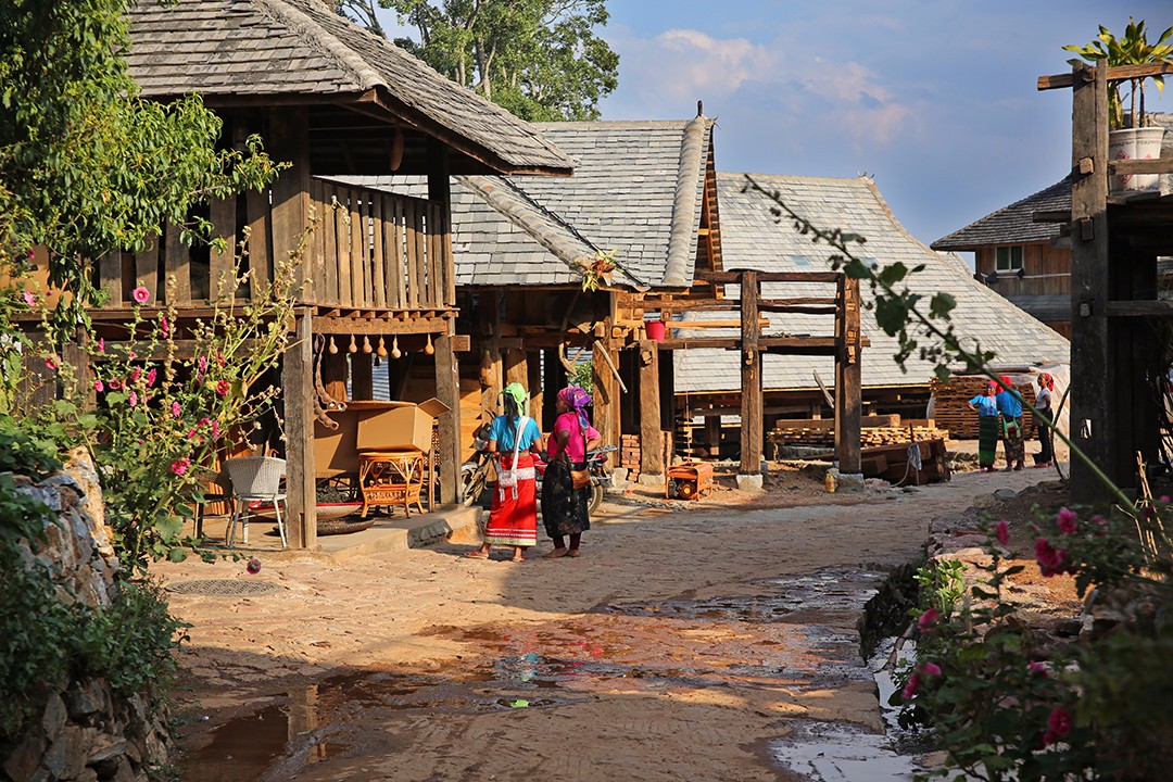 中国最古老的茶园布朗族每家每户都拥有千年古茶树