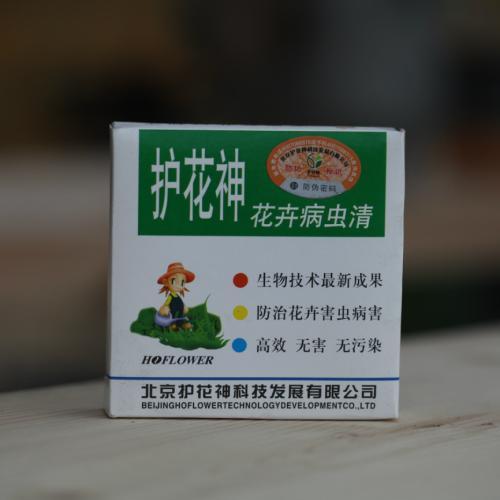 如何消灭小黑飞,6大绝招送给你,一扫光!