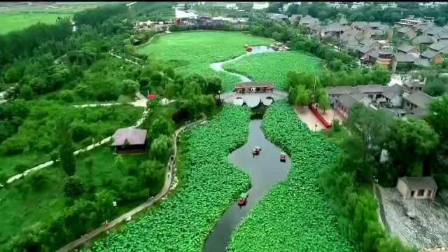 盛夏七月,我在丹凤棣花等你, 商洛·龙驹寨镇