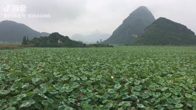 洛阳超级网红拍照打卡景点了解一下?